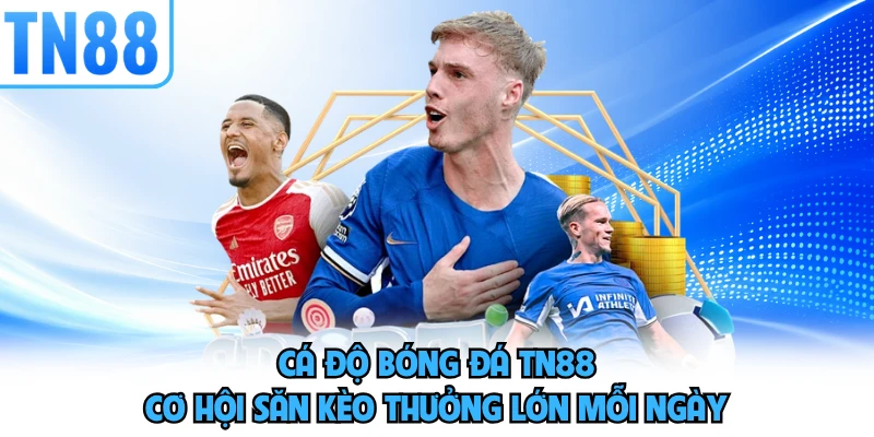 Cá Độ Bóng Đá TN88 - Cơ Hội Săn Kèo Thưởng Lớn Mỗi Ngày