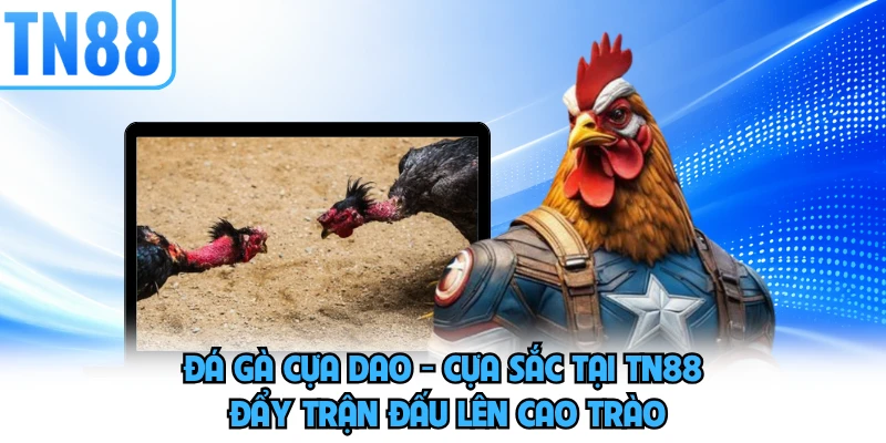 Đá Gà Cựa Dao - Cựa Sắc Tại TN88 Đẩy Trận Đấu Lên Cao Trào