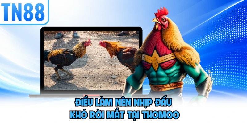 Điều làm nên nhịp đấu khó rời mắt tại thommo