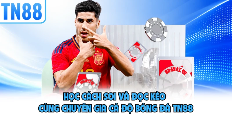 Học cách soi và đọc kèo cùng chuyên gia cá độ bóng đá TN88