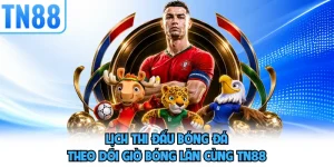 Lịch Thi Đấu Bóng Đá - Theo Dõi Giờ Bóng Lăn Cùng TN88