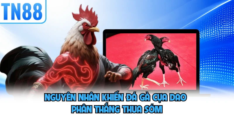 Nguyên nhân khiến đá gà cựa dao phân thắng thua sớm