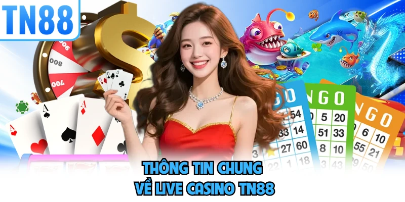 Thông tin chung về live casino TN88 
